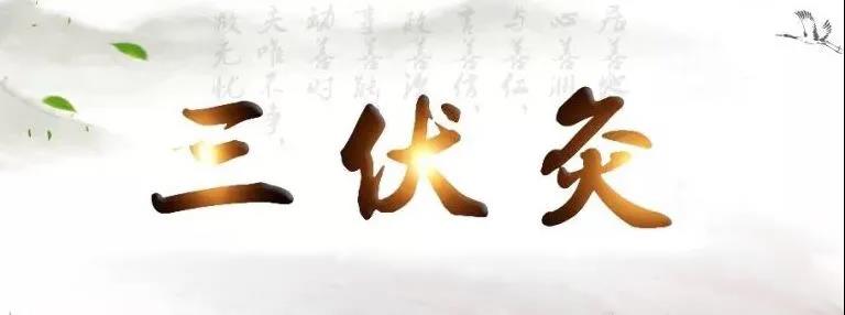 艾灸冬病夏治，春夏養(yǎng)陽，三伏灸果真如此神奇？