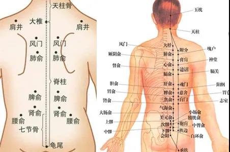 艾灸禁忌、艾灸注意事項(xiàng)