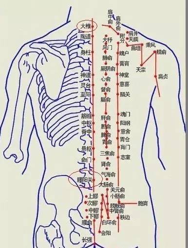 艾灸好這幾穴位一整年不發(fā)胖，艾灸減肥的穴位，快灸起來！