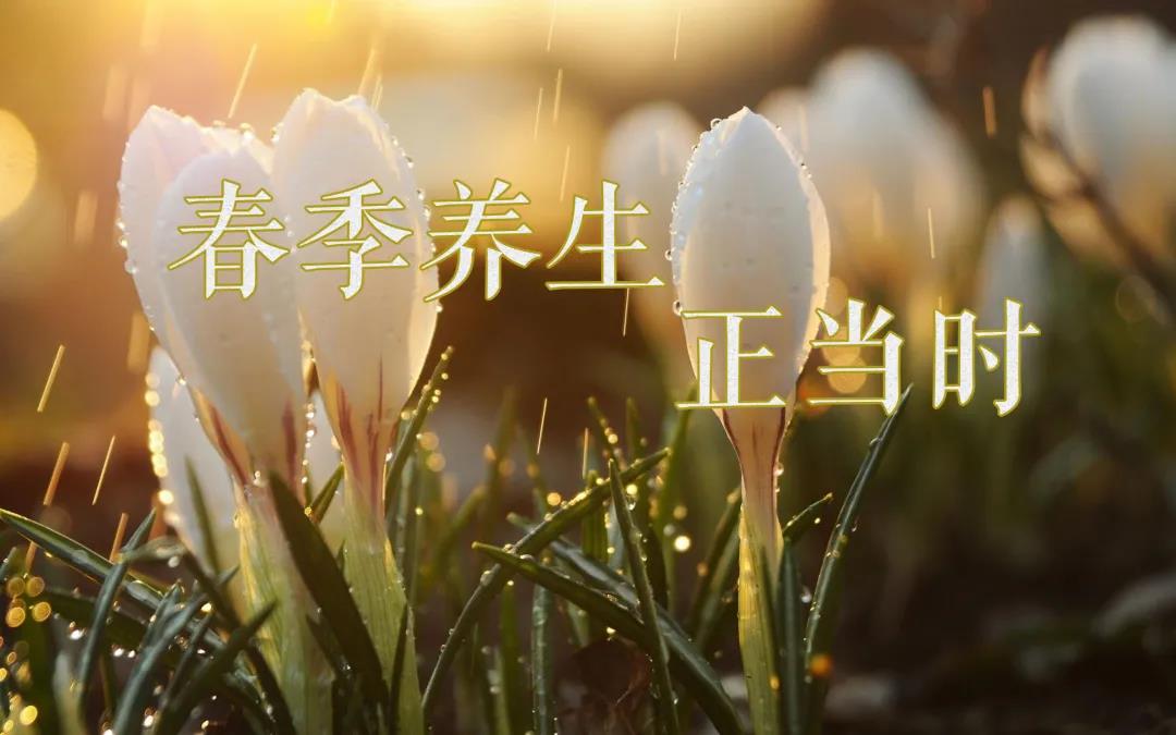 春天艾灸，陽上增陽，這些技巧別錯過！