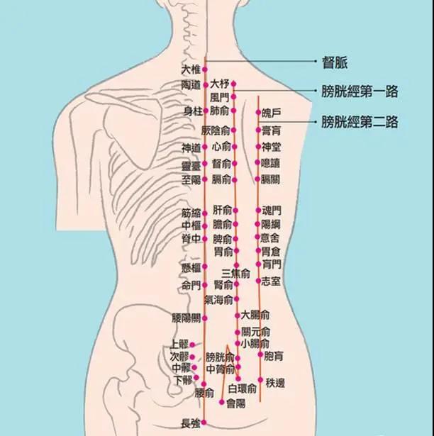 冷熱痛麻酸腫，這是經(jīng)絡(luò)信號(hào)在傳遞身體隱患