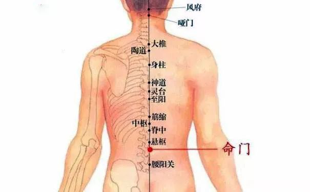 命門火衰影響人體生老病衰？命門穴有何神奇，竟決定生命的元陽盛衰？